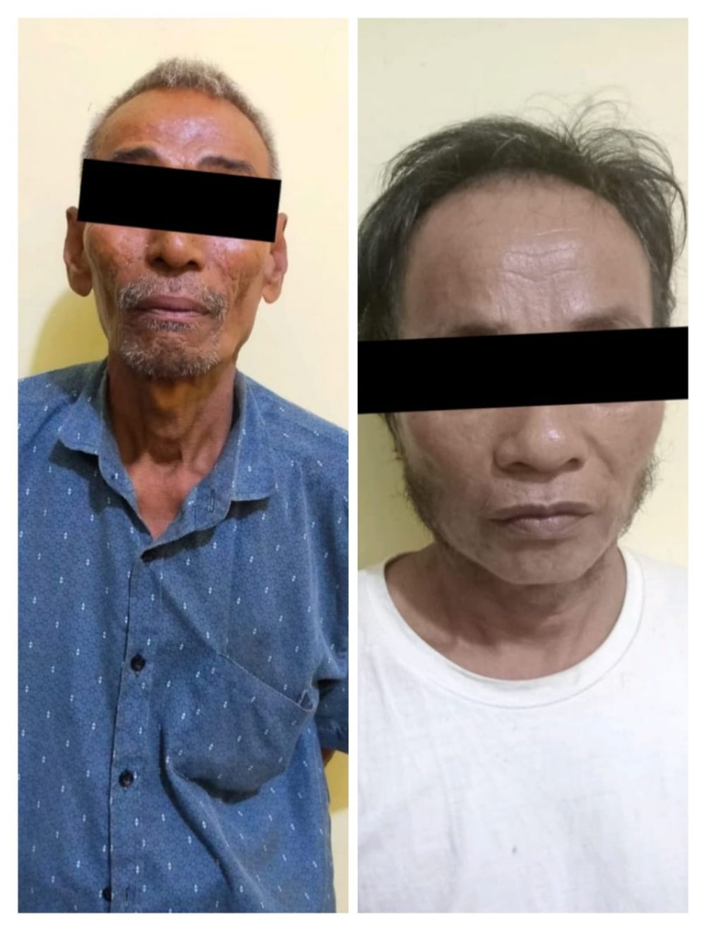 Kedua Tersangka Pencabulan Anak Dibawah Umur (Foto:Ist)