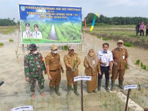 Resmikan Sekolah Lapang Iklim, Maulana Tanam Bibit Padi Bio Fortifikasi