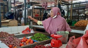 Harga Cabe Terus Naik, Maulana: Akan Kita Cek ke Agen