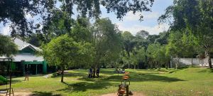 Hutan Kota Wisata Murah Tengah Kota Jambi