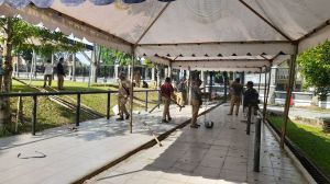 Tempat Pemotongan 18 Sapi di Balaikota Jambi Dipersiapkan