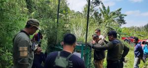 Resahkan Warga, 3 Perangkap Harimau Dipasang di Renah Kayu Embun