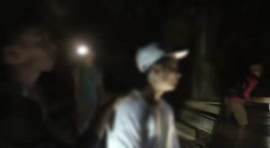 Oknum Kades di Merangin Ditangkap Polisi, Diduga Terlibat Illegal Logging 