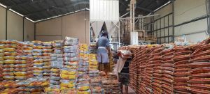 Harga Beras Melambung Tinggi, Ancam Inflasi 