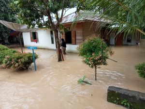 3 Desa di Kecamatan Batang Masumai Terjadi Banjir Parah 