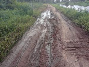 Warga Desa Jati Mulyo Minta Dinas PUPR Tanjab Timur Perbaiki Jalan