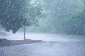 Hujan Lebat Disertai Angin Berpotensi Terjadi di Jambi 