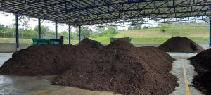 Produksi Sampah di Kota Jambi Sampai 336 Ton Per Hari