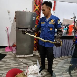 Damkar Kota Jambi Terima 260 Laporan Penyelamatan Sepanjang Tahun 2022