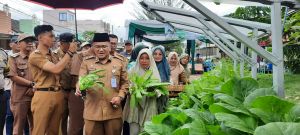 Pemkot Jambi Dorong Masyarakat Tanam Hidroponik di Perkarangan Rumah