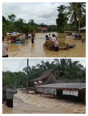 Lubuk Mandarsah Berduka, Air Genangi Ratusan Rumah dan Putus Akses Jalan Nasional