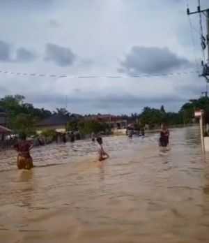 Banjir di Pelayang Tebat Lubuk Mandarsah, Warga: Jangankan Dapat Bantuan di Lihat Saja Tidak