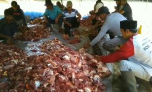 Pemkot Jambi Matangkan Perayaan Hari Raya Kurban