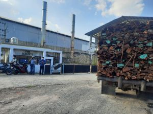 Ini Profil PT Rimba Palma Sejahtera Lestari yang Bermasalah dengan Nenek Hafsah