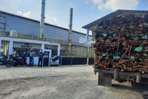 Dinas Perkim Kota Jambi Bantah PT RPSL Berada di Zona Hijau 