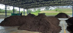 Aset TPA Talang Gulo belum Dihibahkan ke Pemkot Jambi