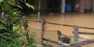 Beberapa Desa di Tebo Terendam Banjir