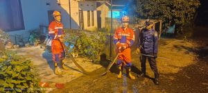 Damkar Berhasil Evakuasi Ular Sanca di Atas Plafon Rumah Warga