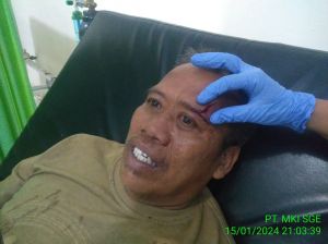 Curi Sawit dan Bacok Karyawan Perusahaan, Oknum Langsung di Ringkus Polisi
