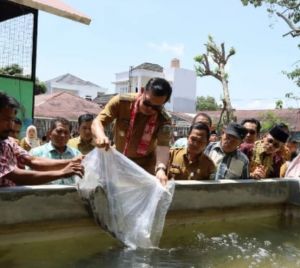Resmikan Kolam Budidaya Lele di Koto Tinggi, Wako Ahmadi : Tingkatkan Ekonomi Masyarakat 
