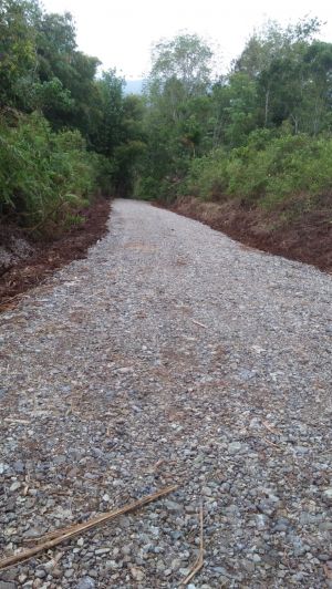 Proyek Pengerasan Jalan Koto Iman - Bunga Tanjung Tuai sorotan warga