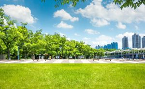 Kota Jambi Defisit 15 Persen RTH, Pj Wali Kota Soroti Alih Fungsi Lahan