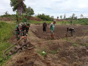 Untuk Ketahanan Pangan, Satgas TMMD dan Warga Persiapkan 2 Ha Lahan