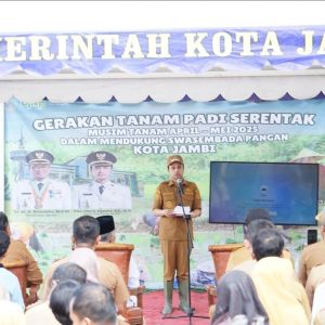 Dorong Swasembada Pangan, Pemkot Jambi Salurkan 5.000 Kg Bibit Padi