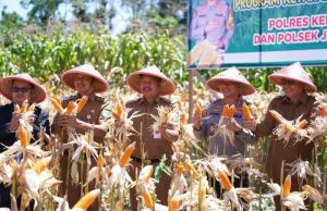 Hadiri Panen Raya Jagung di Semurup, Ini Harapan Bupati Monadi