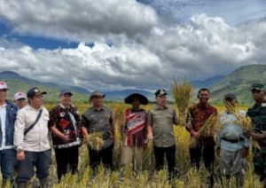 Terus Dukung Program Ketahanan Pangan, Bupati Monadi Hadiri Panen Padi di Lolo Hilir
