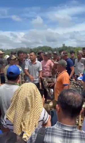 Saat Rombongan Komisi II DPRD Tebo Tiba Dilokasi, Petani dan Security Sempat Cekcok