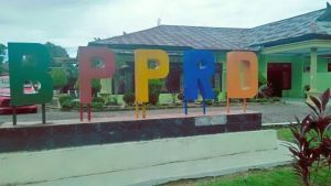 Capaian PAD Merangin 2025 Turun, BPPRD Sebut Tak Tekejar