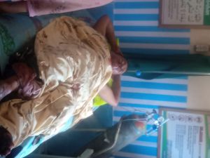 Diterkam Dua Harimau, Warga  Pangkalan Jambu Merangin Luka Parah