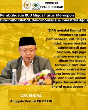 Cek Endra: Untuk Wujudkan Transisi Energi yang Nyata, CCS/CCUS Harus Diatur Jelas dalam RUU Migas
