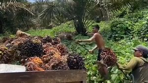 PT CBM Dapat Izin Banyak,Kelola Sedikit Masyarakat Meradang Pemkab Belum Bertindak 