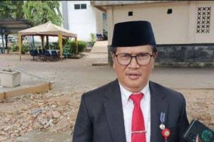 Perkuat Produksi Pangan, Seluruh Lahan Sawah di Kota Jambi Telah Ditanami Padi