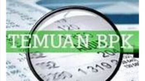 Dalam Minggu Ini OPD Tebo Belum Selesaikan Temukan BPK 2024 Bakal Ditagih Lagi Sama Inspektorat