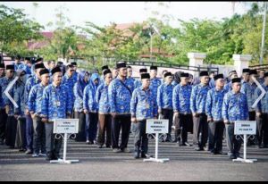 Ini Alasan dan Rencana Pemkab Tebo, Gabungkan Kembali Beberapa OPD