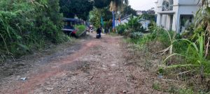 Perbaikan Jalan Rusak di RT 16 Beliung Jadi Prioritas Pemkot Jambi