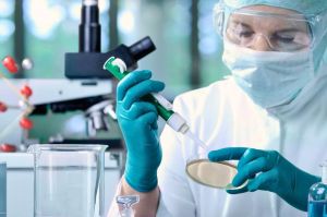 Pelapor Dihadirkan dalam Sidang Perkara terkait Dugaan Hambatan Usaha PT LMP