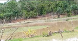 Lahan Petani Jadi Lokasi PETI, PT Tebo Indah Diminta Bertanggung Jawab