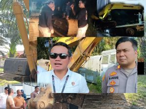 Heboh PETI Masuk Hutan  HP PT Jebus, Akhirnya Pelarian Alat Kancil Diamankan 