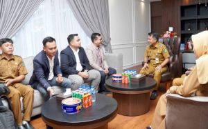 Wabup Nazar Efendi Terima Audiensi dan Pemaparan Hasil Assessment dari PLN Icon Plus