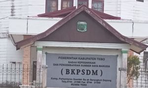 Tiga Jabatan Strategis di Pemkab Tebo Sepi Peminat, Seleksi JPT Pratama 2025 Masih Lesu