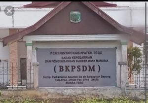 Pemkab Tebo Siapkan UPTD BLK, Sindi: Cetak Tenaga Kerja Sesuai Talenta