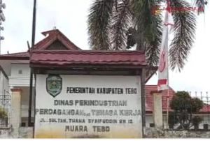 Disnakertrans Tebo Catat 243 Pencari Kerja Sepanjang 2025, Penempatan Capai 318 Orang