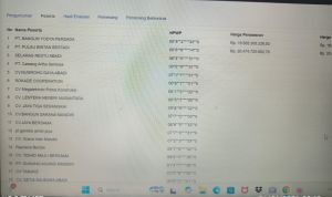 Jejak Tender Turap Pagar Puding: Dua Perusahaan Terdaftar, Pokja Tegaskan Tak Langgar Aturan KSO