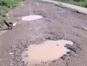Jalan Betung- Pintas dan Padang Lamo Rusak Parah, Komisi III DPRD Tebo Minta PUPR Jambi Turun Langsu