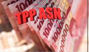 TPP ASN Tebo Mulai Dicairkan, OPD Diminta Segera Ajukan