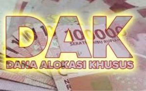 DAK Kesehatan Tebo 2026 Disetujui Rp19 Miliar, Penggunaan Tunggu Mei